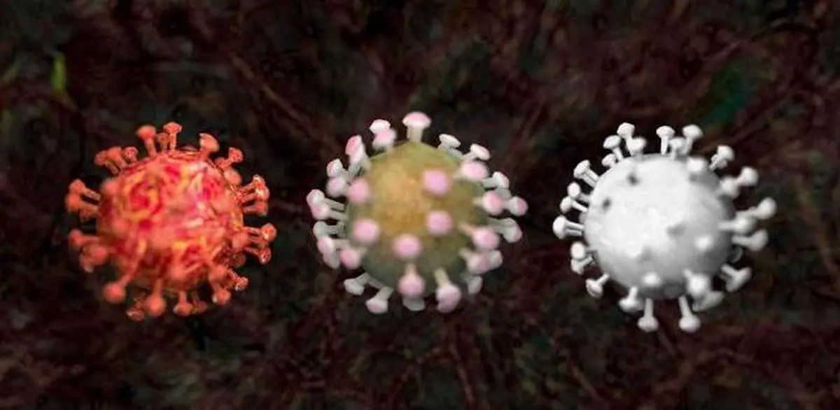 تصویری از ریه یک بیمار شدید به کروناویروس + عکس