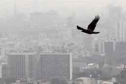  تاثیر زلزله در کاهش معاملات مسکن تهران