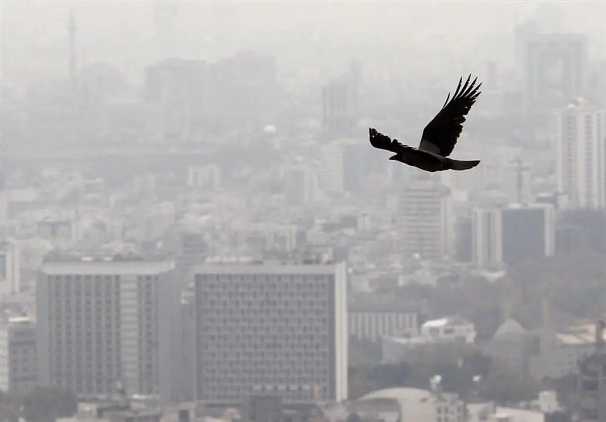  تاثیر زلزله در کاهش معاملات مسکن تهران