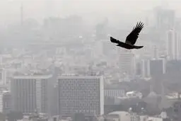  تاثیر زلزله در کاهش معاملات مسکن تهران