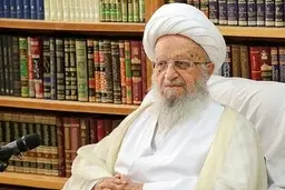 مکارم: تا به‌حال کسی نتوانسته جلوی بانک‌ها را بگیرد| مسئولان باید ابتدا بانک ها را مهار کنند