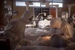 اجازه دهید چند زنگ خطر را به صدا در بیاورم...