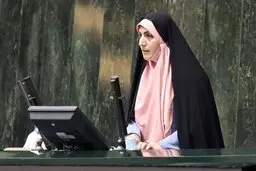 نماینده مجلس: مردم از نظر معیشتی و مشکلات اقتصادی در شرایط سختی هستند