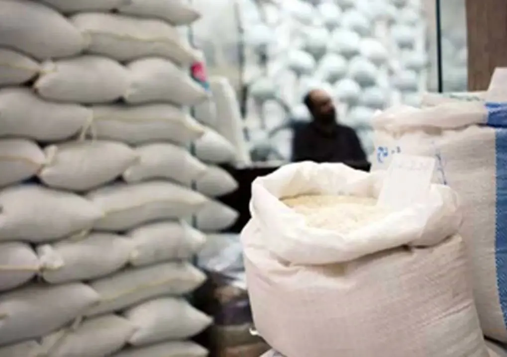  قیمت برنج ایرانی افزایش یافت | نقش یک شرکت بزرگ در خرید محصولات انبارشده