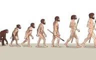 تکامل؛ تصویر معروف راهپیمایی پیشرفت اشتباه است 