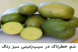 چرا نباید قسمت سبز سیب زمینی رو استفاده کنیم؟ | ضرر نهفته در بخش سبز رنگ سیب زمینی چیست؟