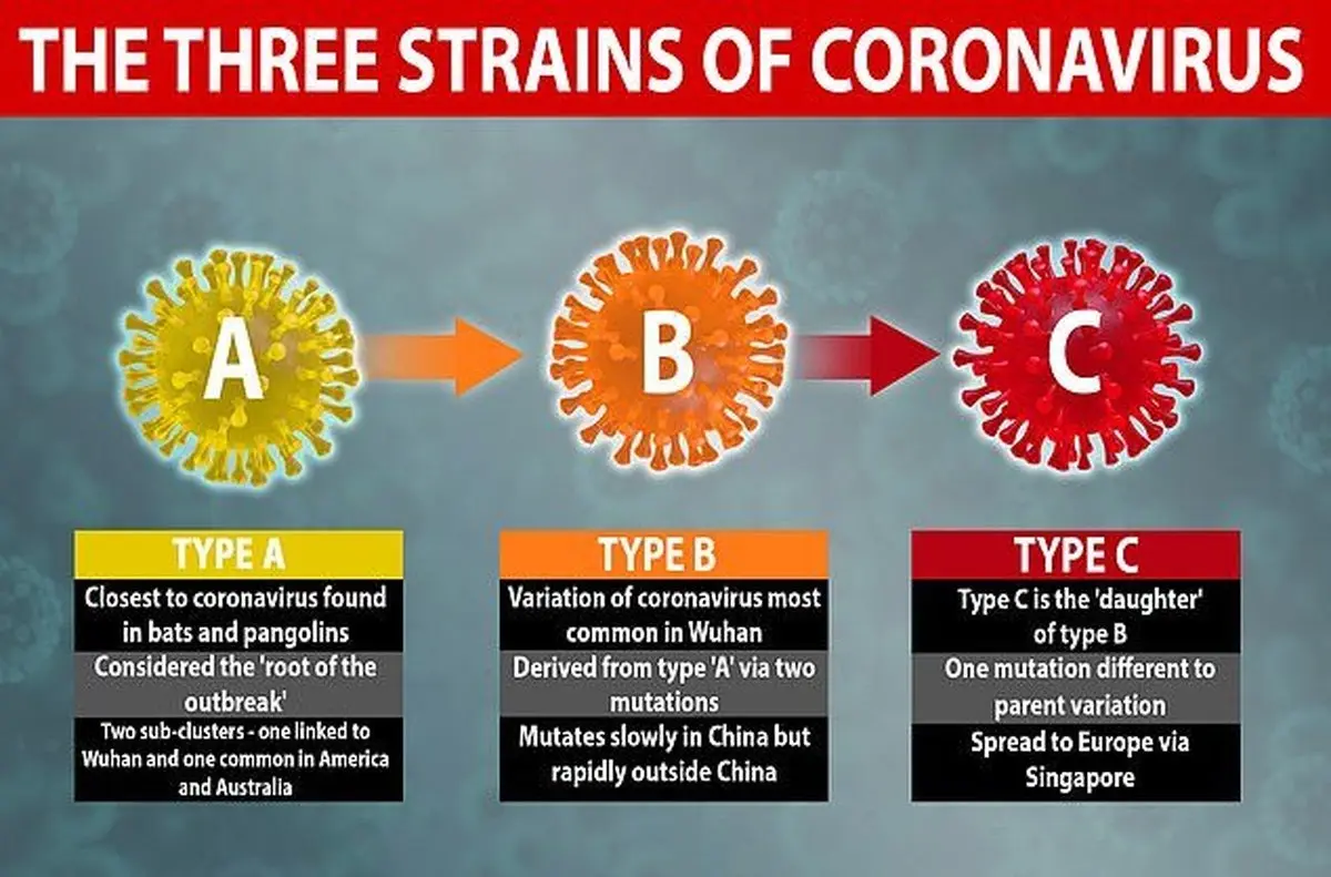 
شناسایی ۳ گونه‌ مختلف ویروس کرونا در دانشگاه کمبریج