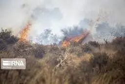 آتش سوزی منطقه دهرود دشتستان همچنان ادامه دارد