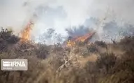 آتش سوزی منطقه دهرود دشتستان همچنان ادامه دارد