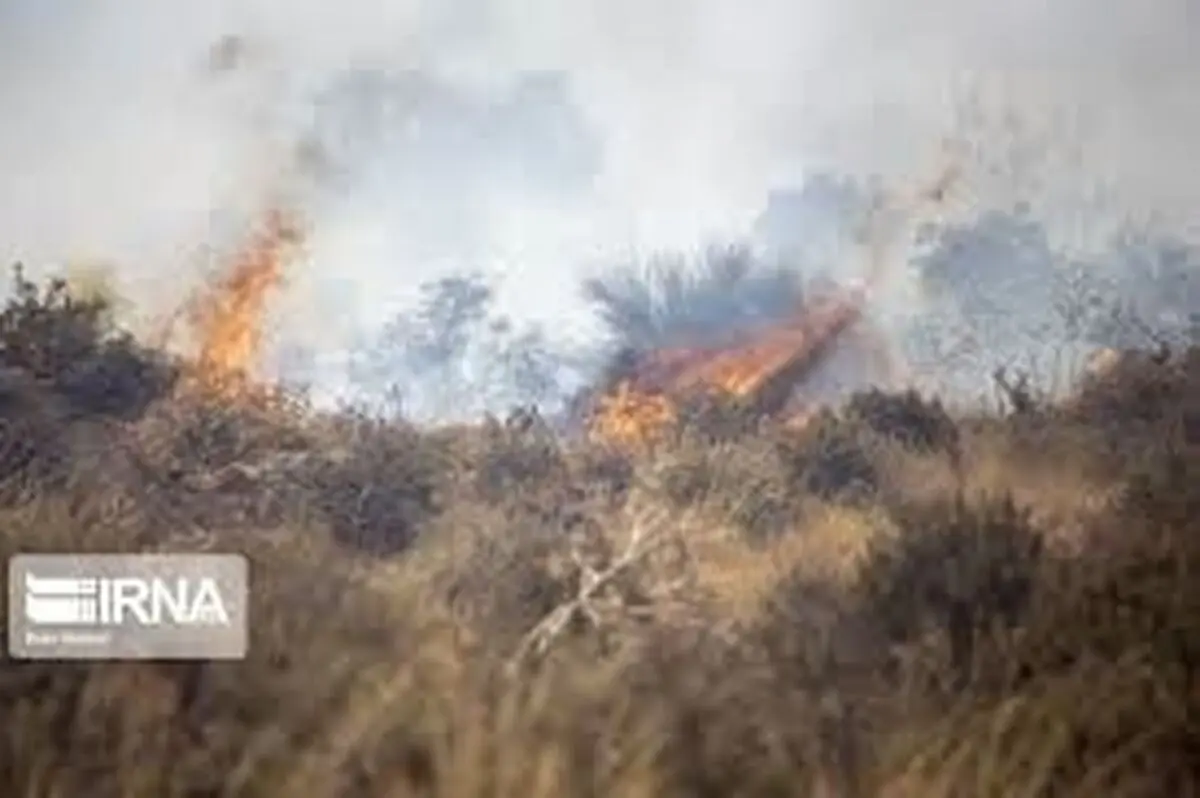 آتش سوزی منطقه دهرود دشتستان همچنان ادامه دارد