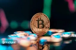 معامله‌گران حرفه‌ای در حال انباشت بیت کوین در کف قیمت