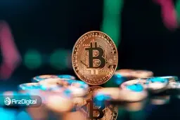 معامله‌گران حرفه‌ای در حال انباشت بیت کوین در کف قیمت