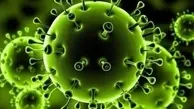 شناسایی کروناویروس خطرناک تر از گونه انگلیسی در آفریقا