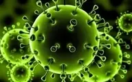 شناسایی کروناویروس خطرناک تر از گونه انگلیسی در آفریقا