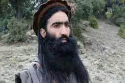فرمانده ارشد طالبان پاکستان در افغانستان کشته شد
