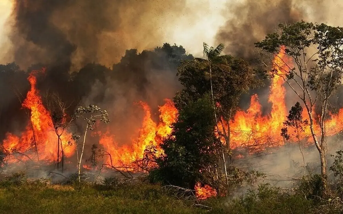 آتش‌سوزی جنگل‌های ایران تمامی ندارد | ۱۷ کشته و صدها آسیب در طی سالهای اخیر | تاریخ انقضای این فجایع چه زمانی است؟