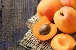 هسته میوه‌ها را نخورید! | خوردن هسته این میوه‌ها باعث مرگتان می‌شود
