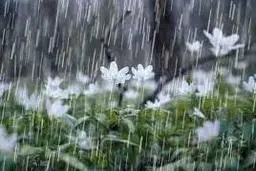 هواشناسی: بارش برف و باران در بیشتر مناطق کشور| پیش بینی هواشناسی از وضعیت جوی تهران 