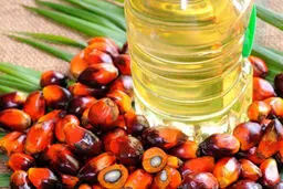 روغن پالم به پیشرفت سرطان کمک می کند 
