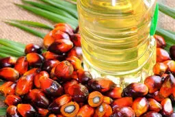 روغن پالم به پیشرفت سرطان کمک می کند 