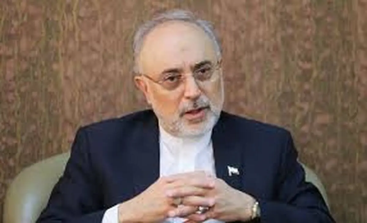 صالحی: آژانس اعلام کرده درخواست دیگری ندارند