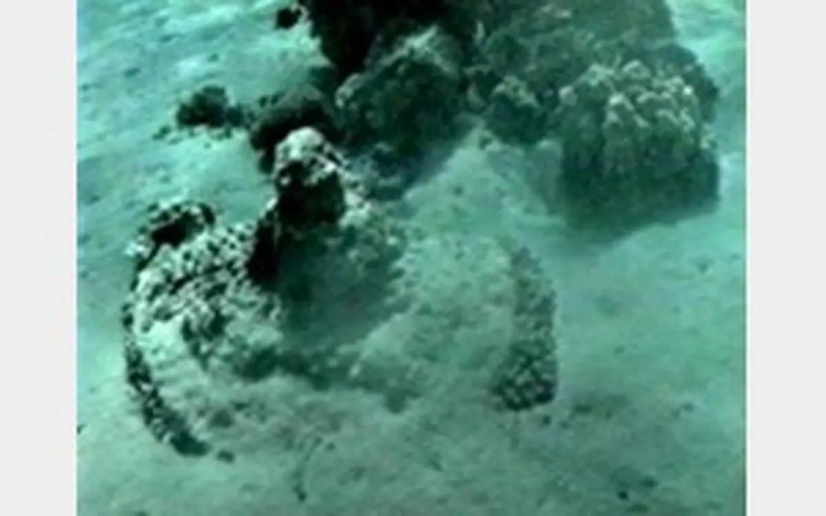 کشف آثار لشکریان فرعون در دریای سرخ