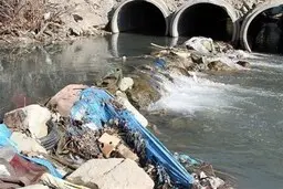 
درگیری آلودگی آب در سد ماملو بالاست
