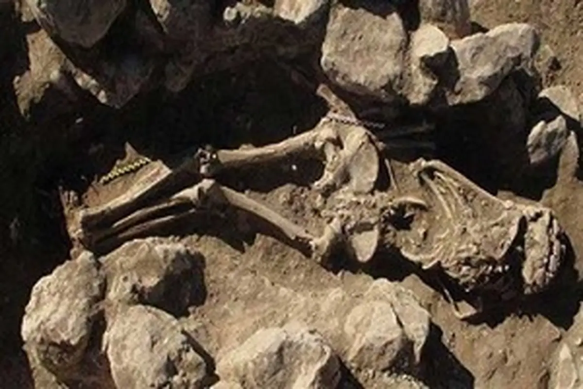 جزئیات کشف جنگجوی ۳ هزار ساله در گیلان