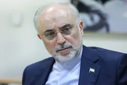 علی‌اکبر صالحی: آمریکا در سیاست خارجی نگاه آرمانی‌‌ ندارد