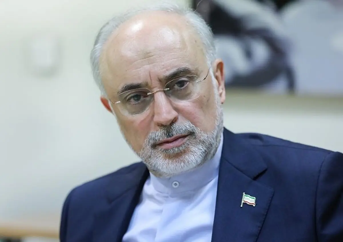 علی‌اکبر صالحی: آمریکا در سیاست خارجی نگاه آرمانی‌‌ ندارد