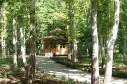 داستان کوتاه "چنار" از هوشنگ گلشیری |  زن جوانی که بازوهای بلوریش را بیرون انداخته بود...