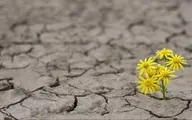 شاخص جهانی امید چیست و چه تصویری از جهان امروز به دست می‌دهد؟