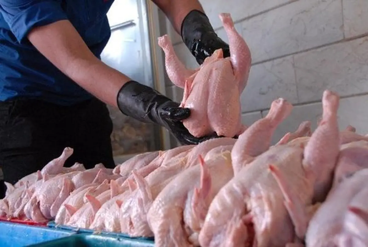 تحولات بازار مرغ و ماهی در آستانه شب یلدا/ قیمت مرغ به ۱۲ هزار و ۹۰۰ تومان رسید