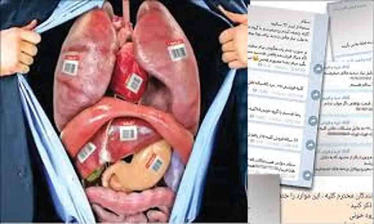 کلاهبرداری با ترفند جدید | فروش قلب، قرنیه، بیضه و ریه