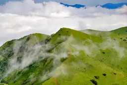 جنگل منحصر به فردفندقلو 