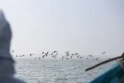 سلاجقه: در مورد پتروشیمی میانکاله کوتاه نمی آییم | کلنگ زنی این پروژه اعتبار ندارد