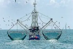  ۴ فروند کشتی صید ترال در بندرعباس توقیف کردند