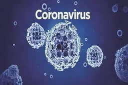 چگونه زنجیره شیوع کرونا را قطع کنیم؟/ توصیه یک متخصص برای مقابله با کرونا