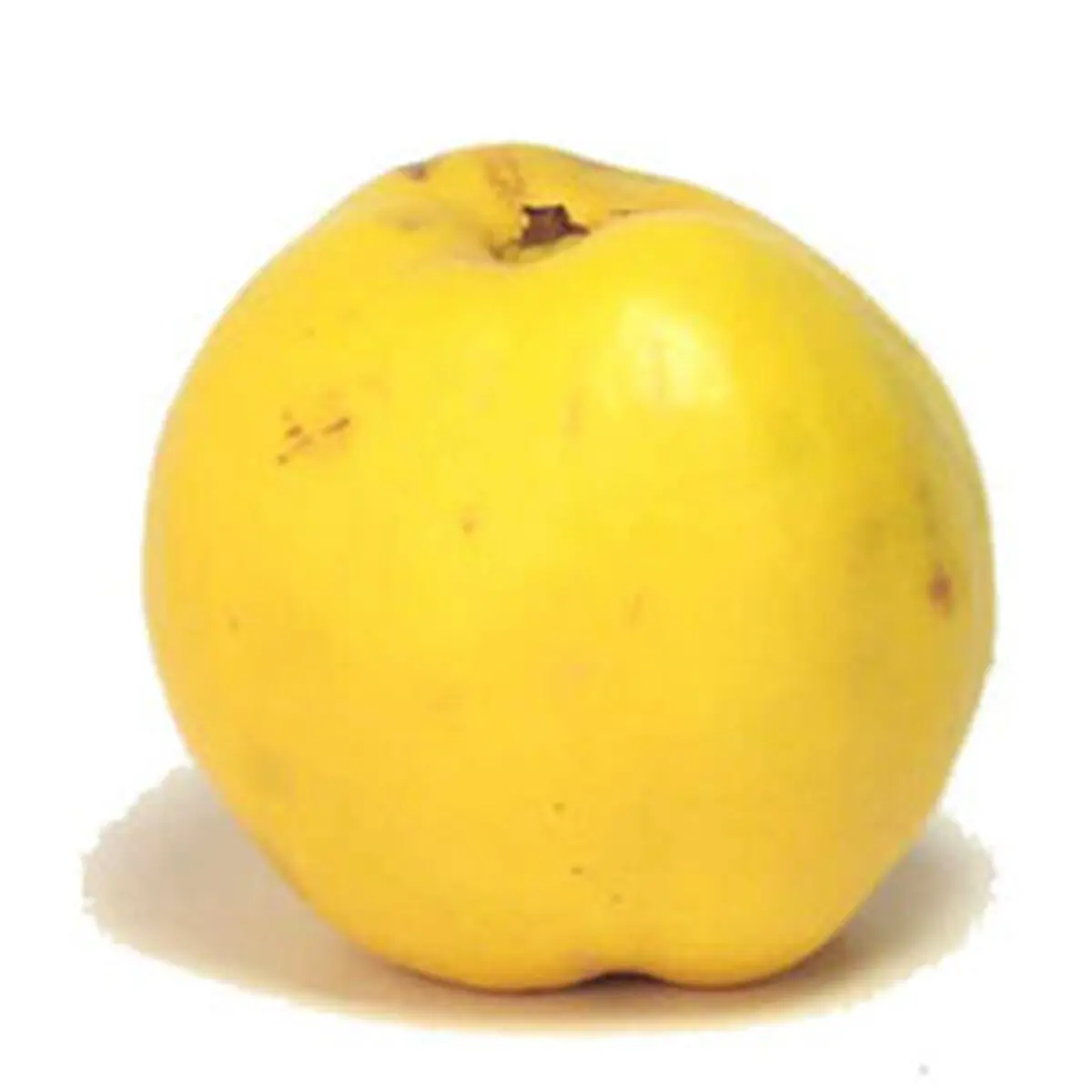 همه خواص میوه «به»