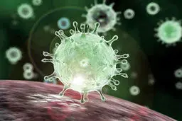 درخواست لغو محدودیت‌های تجاری
