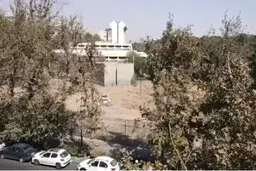ماجرای قطع درختان موزه فرش