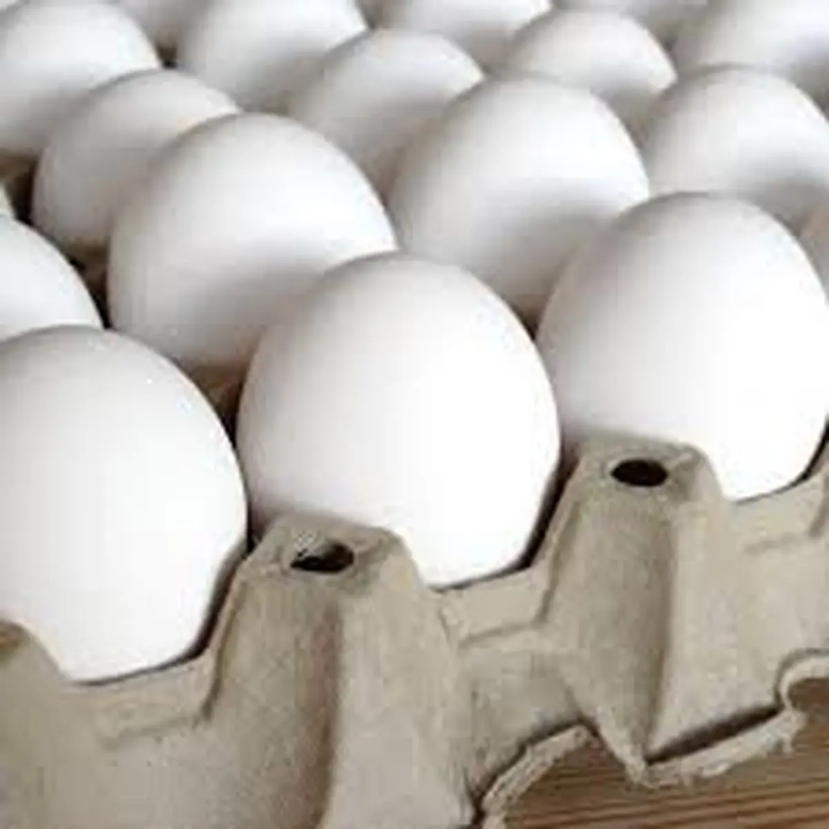 بازار تخم مرغ به زودی تنظیم می شود | کاهش قیمت ها در راه است