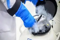 هزینه‌ فریز تخمک چقدر می‌شود؟