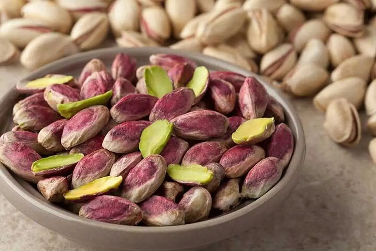 خیلی راحت توی خونه پسته بکار! | نحوه کاشت پسته در خانه +ویدئو