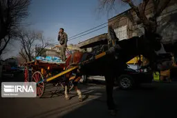 (تصاویر) پسر نمک فروش