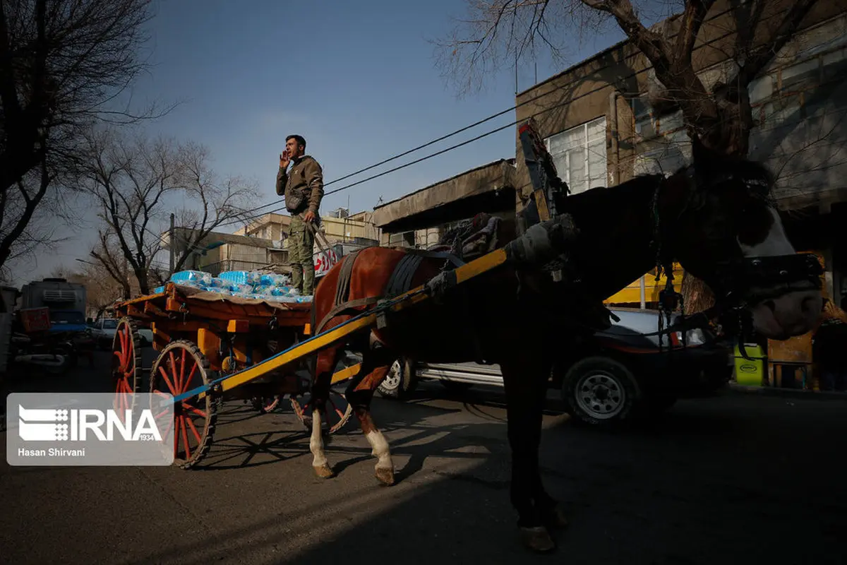 (تصاویر) پسر نمک فروش