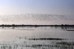 کدام دریاچه‌ها در معرض نابودی هستند؟ | اشک دریاچه