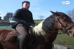 آیا زمان بیرون کشیدن اسب‌ها از اصطبل‌ها فرا رسیده است؟!+ویدئو