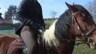آیا زمان بیرون کشیدن اسب‌ها از اصطبل‌ها فرا رسیده است؟!+ویدئو