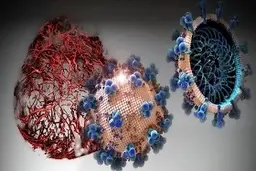 4 علامت اصلی ایتلا به کرونا 